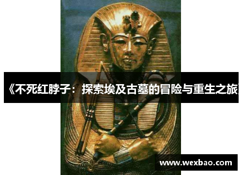 《不死红脖子：探索埃及古墓的冒险与重生之旅》
