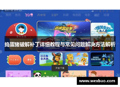 捣蛋猪破解补丁详细教程与常见问题解决方法解析
