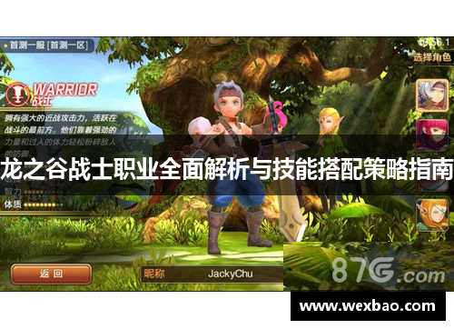 龙之谷战士职业全面解析与技能搭配策略指南