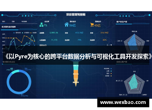《以Pyre为核心的跨平台数据分析与可视化工具开发探索》