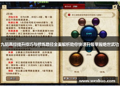 九阴真经提升技巧与修炼路径全面解析助你快速升级掌握绝世武功