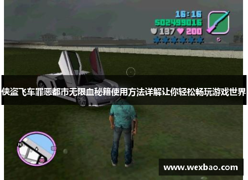 侠盗飞车罪恶都市无限血秘籍使用方法详解让你轻松畅玩游戏世界